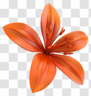 3d Saffron Flower - Orange Flower With Petals Transparent PNG