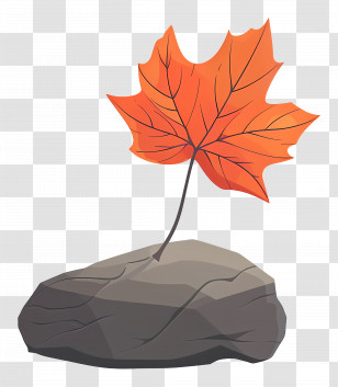 Autumn Leaf On Rock - Autumn Maple Leaf On Rock In Fall Scenery Transparent PNG