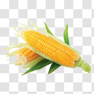 Background Baby - Ear - Food Grain Plant Transparent PNG