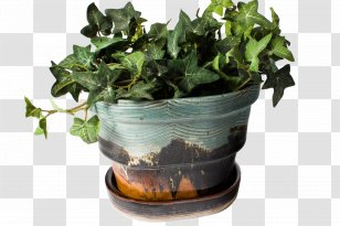 Pottery Flowerpot Clay Craft Earthenware - Spring Greens - Tea Strainer Transparent PNG