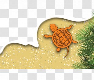 Adobe Illustrator Download Euclidean Vector - Resort - Hand-drawn Illustration Yellow Turtle Beach Transparent PNG