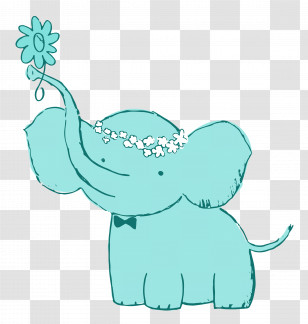 Little Elephant Baby Elephant Transparent PNG