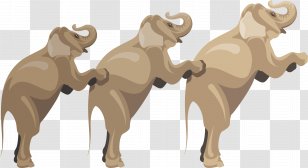 Dog Thailand Elephant - Mammal - Brown Vector Transparent PNG
