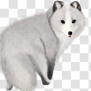 Arctic Fox Template - Whiskers - Gray Transparent PNG