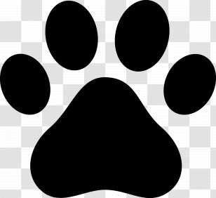 Dog And Cat - Blackandwhite Whiskers Transparent PNG