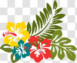 Clip Art Shoeblackplant Illustration Free Content Image - Hibiscus No Background Transparent PNG
