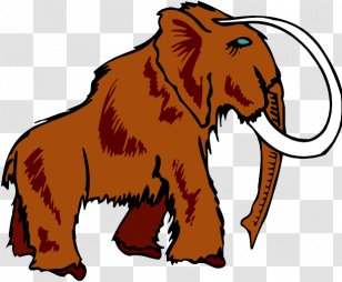 Lion African Elephant Lowest Common Denominator Rational Number Mammal - Big Cat Transparent PNG