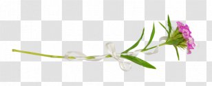 Petal Flora Brand Wallpaper - Bouquet Of Flowers Transparent PNG