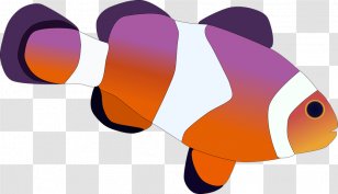 Vector Graphics Pixabay Image Clownfish - Video - Coral Reef Transparent PNG