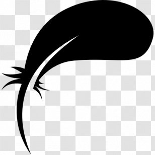 Feather Bird Clip Art Transparent PNG