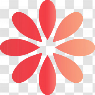 Orange Transparent PNG