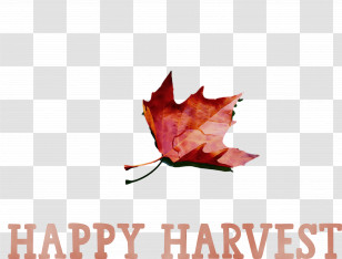 Leaf Maple Leaf / M Font Tree Meter Transparent PNG