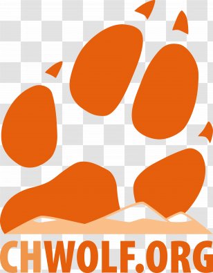 Clip Art Graphic Design Text Logo Graphics - Orange - Pumpkin Festivals In The News Transparent PNG