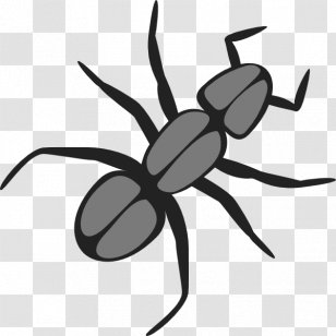Ant Insect Cartoon Clip Art - Organism Transparent PNG