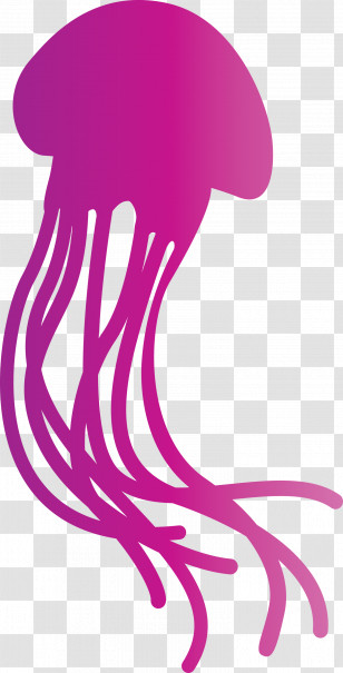 Jellyfish Transparent PNG