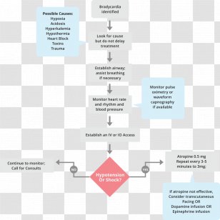 Advanced Cardiac Life Support Bradycardia Medical Algorithm Pediatric - Health Care - Blood Pressure Transparent PNG