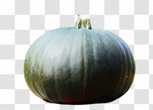 Pumpkin - Fruit - Squash Acorn Transparent PNG