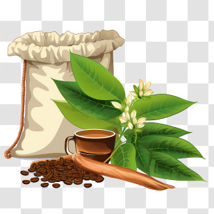 Coffee Beans - Illustration Of Coffee Beans And Cup With Coffee Plant Transparent PNG