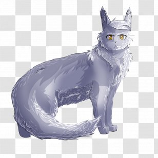 Whiskers Kitten Domestic Short-haired Cat Whitestorm - Carnivoran - White Transparent PNG