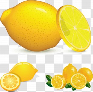 Juice Lemon Euclidean Vector - Citrus - Image Transparent PNG