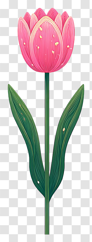 Pink Floral Art - Vibrant Pink Tulip Flower Transparent PNG