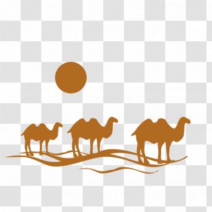 Flight Travel Agent Logo - Photography - Vector Camel Transparent PNG