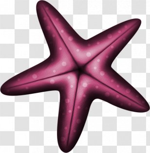 Starfish Euclidean Vector Purple Blue - Sea Transparent PNG