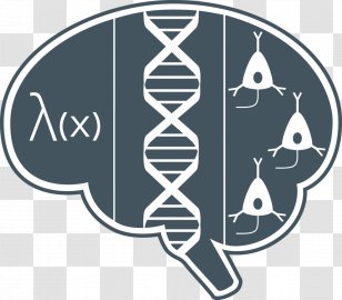 University Of Connecticut Research Fellow Neuroscience - Symbol Transparent PNG
