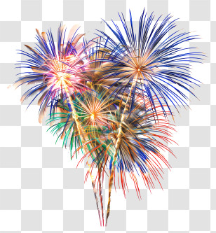 Firework - Illustration Of Colorful Fireworks Display Transparent PNG