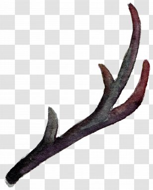 Antler Horn Watercolor Painting - Material - Leaves Falling Element Transparent Transparent PNG