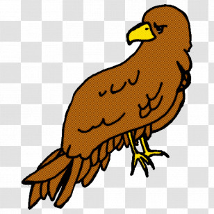 Feather Transparent PNG