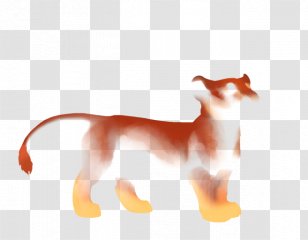 Dog Cat Tail Puma Wildlife - Drizzle Transparent PNG