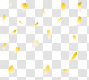 Yellow Art Black Turquoise Grey - Close Up Transparent PNG