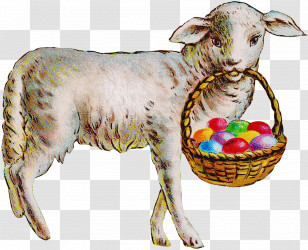 Easter Egg Transparent PNG