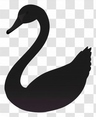 Swan Silhouette - Black Swan Silhouette In Graceful Pose Transparent PNG