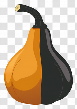 Gourd - Orange And Black Gourd Illustration Transparent PNG