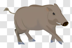 Icon - Wild Boar In The Forest Transparent PNG