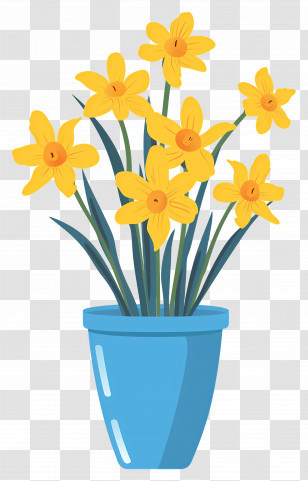 Yellow Flowers - Vivid Yellow Daffodils In Blue Pot Transparent PNG