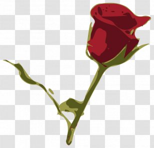 Desktop Wallpaper Clip Art - Garden Roses - Flower Transparent PNG