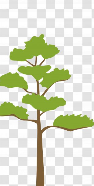 Nutrient Nutrition Bone Tree Nut Allergy - Amazing Transparent PNG