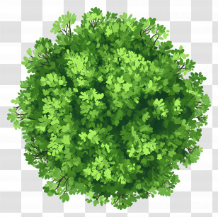 Green Tree Plan - Lush Green Bush Transparent PNG