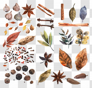 Spices - Detailed Autumn Spices And Leaves Illustration Transparent PNG