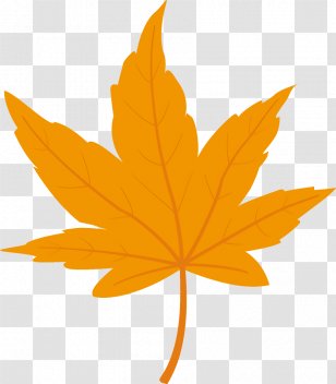 maple leaf png images transparent maple leaf images pnghut