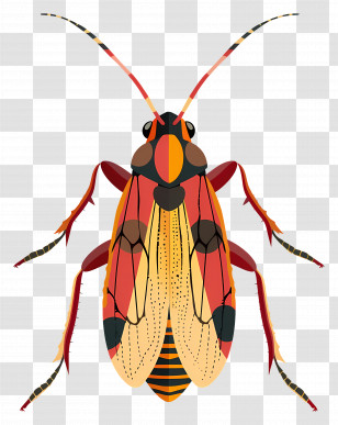 Cartoon Insect - Colorful Insect With Detailed Patterns Transparent PNG