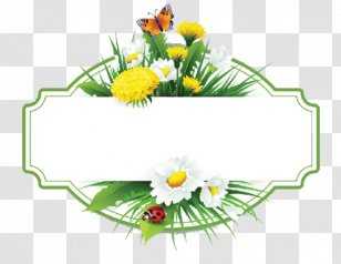 Flower Paper Floral Design Clip Art - Common Daisy Transparent PNG
