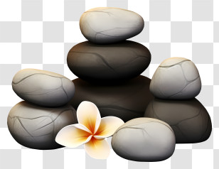 Stack Of Rocks - Relaxing Spa Stones With Plumeria Flower Illustration Transparent PNG