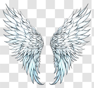 Doodle Angel Wings - Elegant White Angel Wings Illustration Transparent PNG