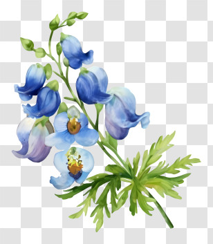 Watercolor Painting - Delicate Blue Flowers With Green Leaves Transparent PNG