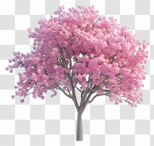 Animated Tree - Blossoming Pink Tree In Springtime Transparent PNG