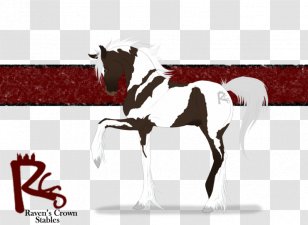 Mustang Foal Stallion Colt Mare - Horse Tack Transparent PNG